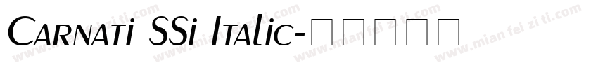 Carnati SSi Italic字体转换
